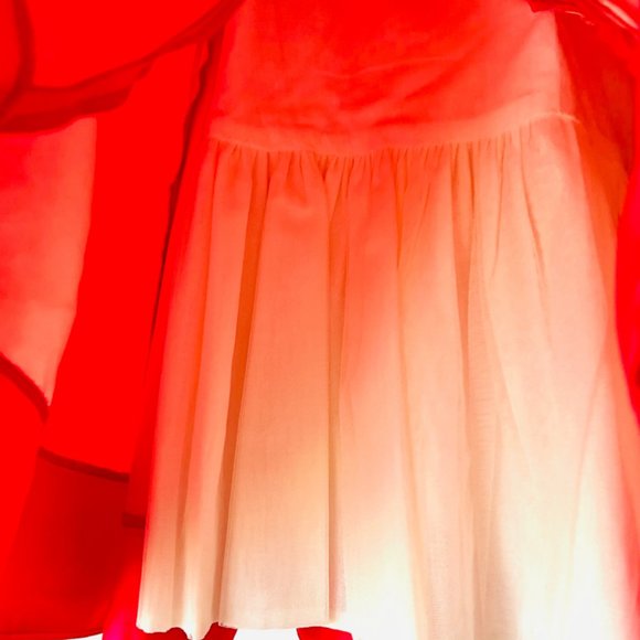 Beautiful Designer Dress - Picture 4 of 4